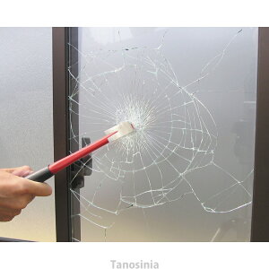 h hƗpi hƑ΍ hƃtB KXp BGF4739 2  k24-1