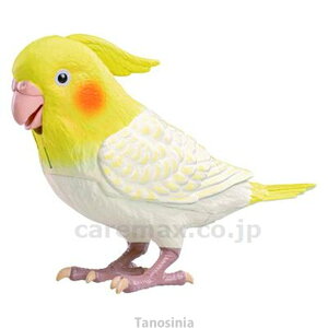 Ƃׂ V˃IJCR R~jP[V{bg FmǗ\h N  v[g 蕨 K22-1