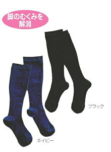 PAT|[g\bNX \bNX PAT|[g \bNX 2TCY S-M M-L ubN lCr[ zCg PAfBbNX jp p VjA  a@