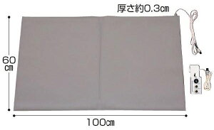 ナースコール連動 徘徊防止センサーマット フロアレポーターIII Aタイプ 有線分岐BOX付 介護用品