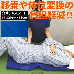 炭炭V[g M 120×73cm ڏV[g XCfBOV[g ̈ʕϊ  \h h~ ʒuC ڏ ړ  xbh Ԉ֎q pi ss-k