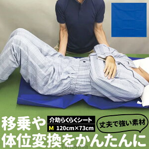 炭炭V[g M 120×73cm ڏV[g XCfBOV[g ̈ʕϊ  \h h~ ʒuC ڏ ړ  xbh Ԉ֎q pi ss-k