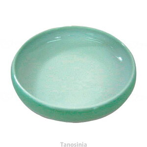 HʃC{E No.8 AbNXF{ Lcā@@o@W@o