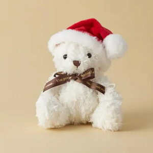 T^Xq efBxA ʂ NX}X v[g  qǂ ޏ  F CeA Mtg oj