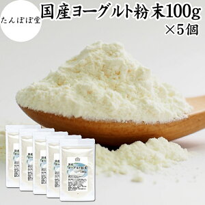 [Og 100g×5 [OgpE_[ Ɩp X[W[  ۑ Y sgp 100% _ rtBYX Pʋ Tvg ٍޗ [Og bV[ H x
