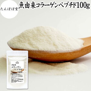  R[Qyv`h 100g R[Q Tv pE_[  Y tBbVR[Q pE_[ }R[Q Tvg nCO[h ᕪq 100% ۑ Y ς 