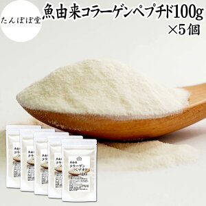  R[Qyv`h 100g×5 R[Q Tv pE_[  Y tBbVR[Q pE_[ }R[Q Tvg nCO[h ᕪq 100% ۑ Y ς