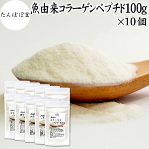  R[Qyv`h 100g×10 R[Q Tv pE_[  Y tBbVR[Q pE_[ }R[Q Tvg nCO[h ᕪq 100% ۑ Y ς