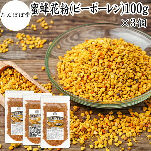 r[|[ 100g×3 ԕ cq I ԕcq XyCY ۑ Y 100 M   Tv Tvg BEE POLLEN A~m_ X[p[t[h p[tFNg t[h r^~ A B C E }