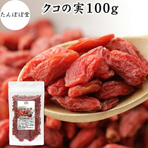 ̎ 100g NR̎ SWx[ Etx[ ۑ Y 100% F mX̎ mXq NRV goji berry ̎ NR̎ Ɩp X[p[t[h hCt[c AWAXC[c 
