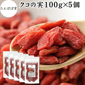 ̎ 100g×5 NR̎ SWx[ Etx[ ۑ Y 100% F mX̎ mXq NRV goji berry ̎ NR̎ Ɩp X[p[t[h hCt[c AWAXC