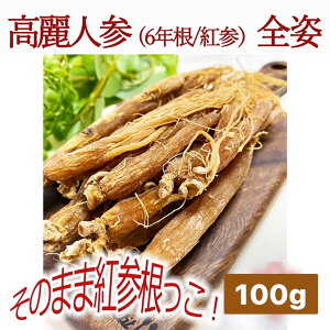 gQipj6N 100g  lQ p̂܂ RedGinseng gQqQ gQ T|j WZmTCh lQ RY _͔| V 쐶In͔| NlQ ۂۖ{ sgp 