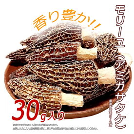 アミガサタケ（モリーユ）乾燥　30g ｜モレル茸、羊肚菌、morchella、乾燥キノコ、morille　無添加 たんぽぽ本舗
