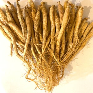 lQ p̂܂ 30{ 100g RY ̂܂܊ Q 쐶In͔| ۂۖ{ lQ Q Y lQ