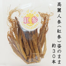 高麗人参（紅参）姿のまま 約20～30本 100g 長白山産 そのまま乾燥 紅参 野生環境露地栽培 たんぽぽ本舗
