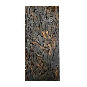 Q lQ 600g ̂܂100 Q Y nH 󏭃T|jLx Black Ginseng hC ۂۖ{