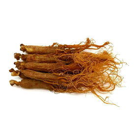 紅参（姿）6年根 100g 無糖 高麗人参 姿のまま RedGinseng 紅参ヒゲ 紅参 サポニン ジンセノサイド 高麗人参 長白山産 無農薬栽培 薬膳 野生環境露地栽培 朝鮮人参 たんぽぽ本舗 砂糖不使用 高麗人参酒 長白参 無添加 高麗人参茶 紅参茶