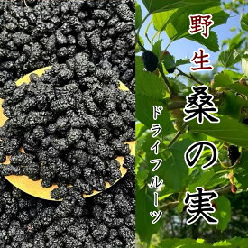 桑の実 ドライフルーツ 100g くわ 桑の葉 くわのみ くわの実 野生マルベリー（乾燥）たんぽぽ本舗
