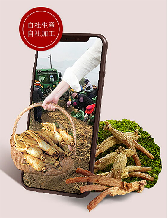 楽天市場】高麗人参 6年根 高麗紅参濃縮液 エキス ロイヤル 240g 紅参 