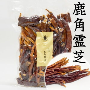 p 100g Y ̂܂ Jbg^Cv  Rň厩Řb݁@ۂۖ{