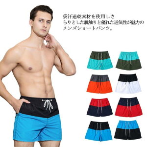  Y T[tpc Cp Z  T[tV[c Ci[t {[hV[c z  Ђt UVJbg O΍ 傫TCY