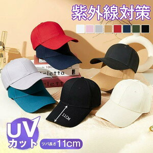 Lbv Y Xq co11cm fB[X ڂ x[X{[ [  UVJbg Ռ O΍ 싅X