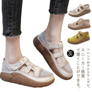 T_ fB[X X|[cT_ Xj[J[ V[Y C OJT_ Xgbv  ؂ ɂ ₷ ₷ ɂ