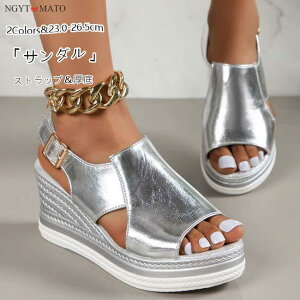 T_ fB[X T_  Vo[V[Y Xgbv EFbW\[ PU ₷ ₷  r  l JWA