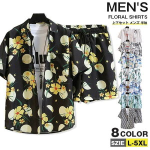 ㉺Zbg Y   ZbgAbv ԕ  ڐG⊴  An