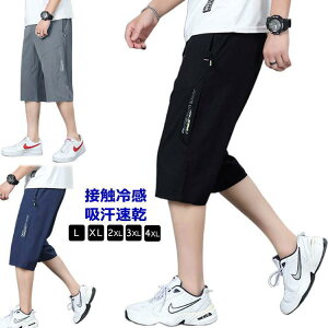  T}[pc Y X|[c W[W Ђ  G Y{ n[tpc Ђ ⊴ ڐG⊴ z 傫TCY 