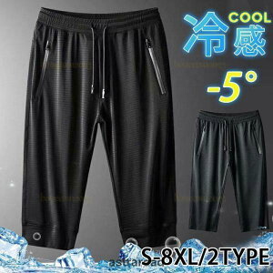 V[gpc Y bV  n[tpc z W[W n 傫TCY  V[c Zp  X|[cEFA