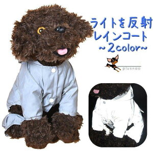 pCR[g J Jbp Cg𔽎 Ȃ  t[ht Jo[I[ h J  J̓ U Xibv{^ CEG