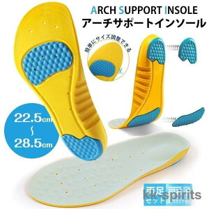 C\[ A[`T|[g X|[c Ε y܂ Ռz   3D ~ ɂ