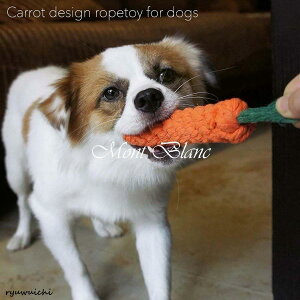   {[ ɂ񂶂̂ 2̂ f^gC ̃ObY pi ݂ObY _炩 d p{[ vȌ̂