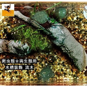 水槽装飾 ペット用品 ペット用 流木 浮島 小動物 カメの浮き島 プラットフォーム 樹脂 亀 カエル トカゲ 爬虫類 両生類 形状おまかせ タートル