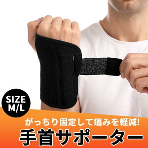 T|[^[ F≊ T|[^[  e[sO  veN^[ Œ p qp  ejX St 싅 ɂ ی  E P ̌Œ  oe[W T|[^