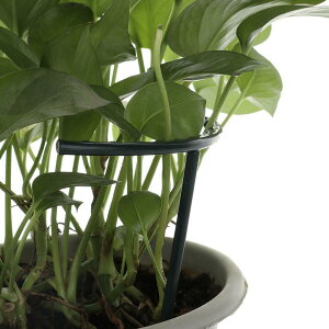 AؔACr[|bgpAt[T|[goRj[NC~OgXT^Cv6