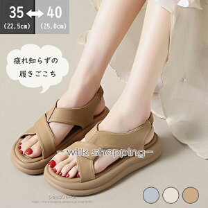 T_ fB[X   X|[c  T_ Ȃ ɂȂ y ₷ X|[cT_ _bhV[Y X|T bNXQ