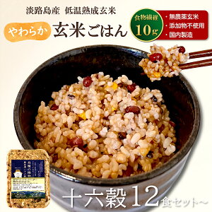 Ă͂ O̎ _򌺕 Y n \Z 12E24E48H b ăpbN pbN͂ Ă уpbN gg yf y _CGbg ᓜ It H