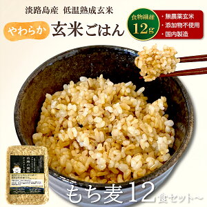 Ă͂ O̎ _򌺕 Y n  12E24E48H b ăpbN pbN͂ Ă уpbN gg yf y _CGbg ᓜ It H