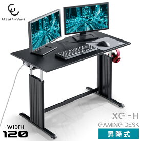 【正午~P5倍】 デスクにも裏技を。背面収納付き ゲーミングデスク 昇降式 幅120cm ヘッドホンフック アジャスタブルデスク ゲームデスク 昇降デスク 昇降式デスク ワークデスク ゲーミング PCデスク パソコンデスク 昇降 120 おしゃれ