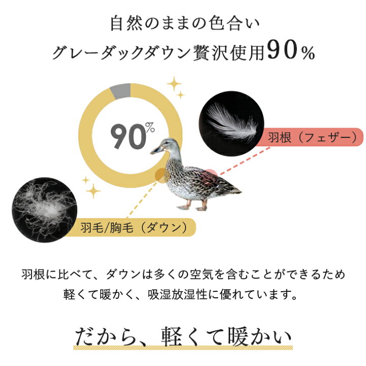 楽天市場】【本日クーポン5%引】 ☆新生活応援☆ 柄任せ 