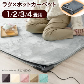 【楽天1位】 ラグ×ホットカーペット2点セット 1畳 2畳 3畳 4畳 ラグ ホットカーペット セット 洗える 軽量 滑り止め付 ラグマット 冬 カーペット 長方形 四角 オールシーズン 絨毯 秋 冬用 ダニ退治 ホットカーペットカバー