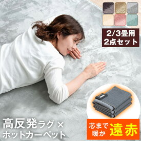 【正午~5％引クーポン】 極厚 25mm 高反発 ラグ + 遠赤 ホットカーペット 2点セット 極厚2.5cm 速暖 ラグ 185×185cm 200×250cm 電気カーペット 2畳 3畳 セット 遠赤カーボン 軽量 滑り止め付 ラグマット 冬 カーペット 正方形 四角 オールシーズン 秋 冬用