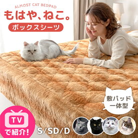 【正午~クーポン5%引】 ≪TVで紹介≫ もはや、ねこ。 敷パッド一体型 ボックスシーツ 洗える 暖かい 防ダニ 抗菌防臭 一体型ボックスシーツ 敷きパッド 敷パッド ベッドパッド ベッドシーツ マットレスカバー シングル セミダブル ダブル 冬 冬用 猫柄 猫 ねこ おしゃれ
