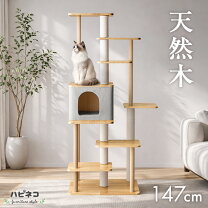 楽天市場】隠れ家付き キャットタワーの通販