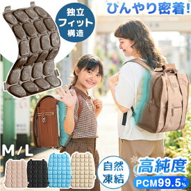 【クリアランス！更に25日0時~5%引クーポン】 TVで紹介 楽天1位 ひんやり密着 リュック用 冷却パッド 冷感パッド リュック 冷感 ひんやり パッド クールパッド 背中パッド 冷たい 保冷 ひんやりグッズ 冷却グッズ 熱中症対策 暑さ対策 ランドセル 子供 小学生