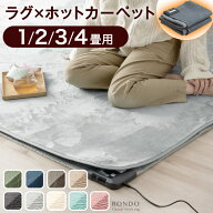 【20時~5％引クーポン】 楽天1位 ラグ×ホットカーペット2点セット ラグ ホットカーペット セット 1畳 2…
