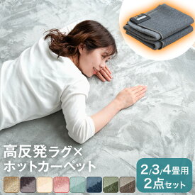 ラグ+ホットカーペット2点セット 2畳 3畳 4畳 極厚2.5cm 高反発 ラグ 185×185cm 200×250cm ホットカーペット 2畳用 3畳用 4畳用 セット 軽量 滑り止め付 床暖房カーペット 電気マット カーペット オールシーズン 絨毯