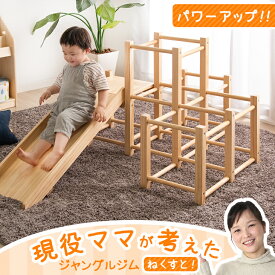 【本日5%引クーポン】 更にパワーUP！現役ママが考えた すべり台 ジャングルジム 天然木 室内 頑丈 屋内 滑り台 大型遊具 子供用 木製 軽量 子供 子ども 家庭用 男の子 女の子 誕生日 ギフト プレゼント ナチュラル ホワイト